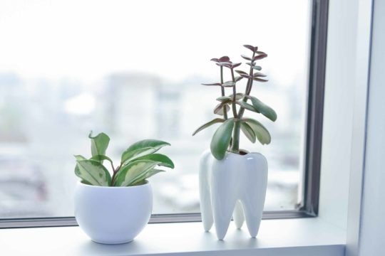 Flowers | Oakridge Crossing Dental | Calgary, AB | Calgary Dentist